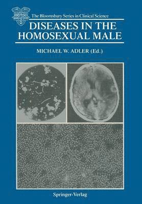 bokomslag Diseases in the Homosexual Male