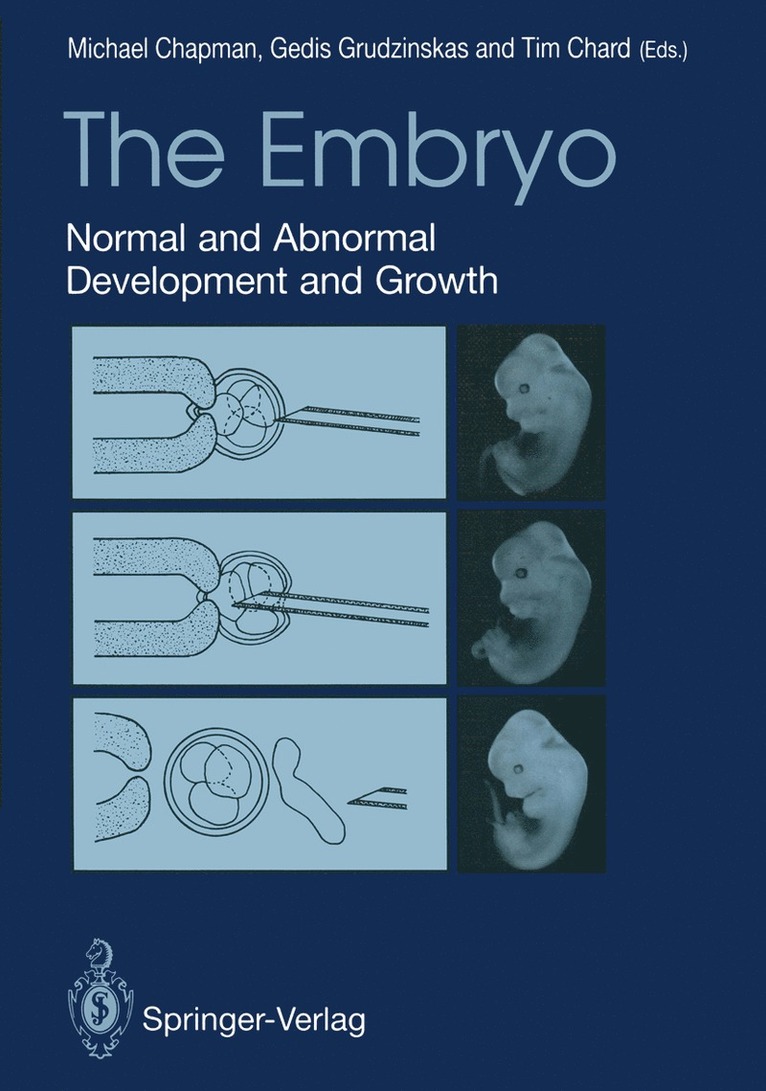 The Embryo 1