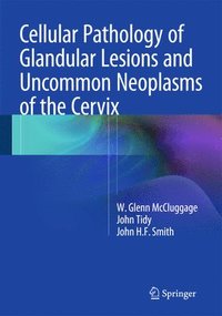 bokomslag Cellular Pathology of Glandular Lesions and Uncommon Neoplasms of the Cervix