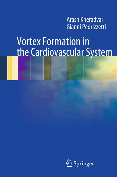 Arash Kheradvar, Gianni Pedrizzetti - Vortex Formation in the Cardiovascular System, Inbunden