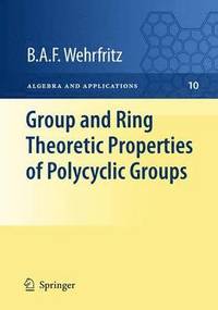 bokomslag Group and Ring Theoretic Properties of Polycyclic Groups
