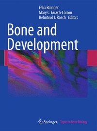 bokomslag Bone and Development