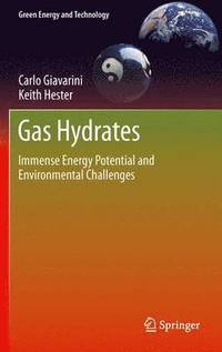 bokomslag Gas Hydrates