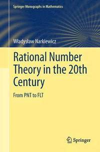 bokomslag Rational Number Theory in the 20th Century