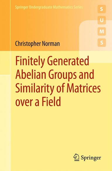 bokomslag Finitely Generated Abelian Groups and Similarity of Matrices over a Field