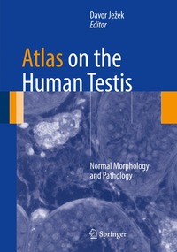 bokomslag Atlas on the Human Testis