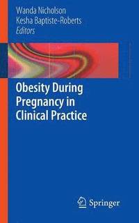 bokomslag Obesity During Pregnancy in Clinical Practice