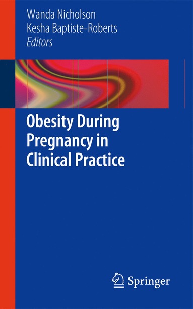 bokomslag Obesity During Pregnancy in Clinical Practice