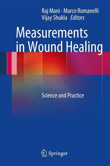 Raj Mani, Marco Romanelli, Vijay Shukla - Measurements in Wound Healing, Inbunden