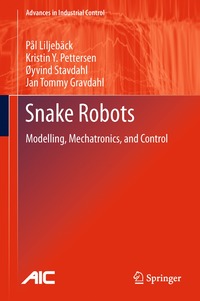 bokomslag Snake Robots