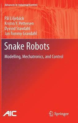 bokomslag Snake Robots