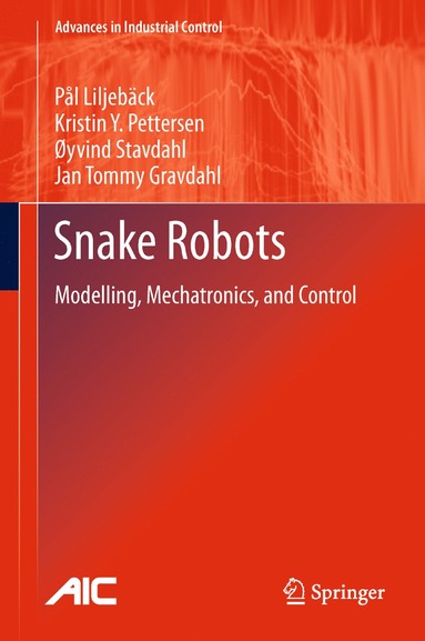 bokomslag Snake Robots