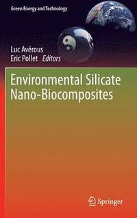 bokomslag Environmental Silicate Nano-Biocomposites