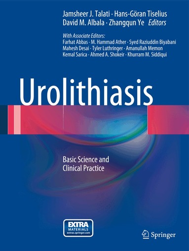Jamsheer J. Talati, Hans-Goran Tiselius, David M. Albala, ZHANGQUN YE - Urolithiasis, Inbunden
