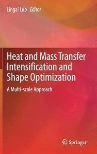 bokomslag Heat and  Mass Transfer Intensification and Shape Optimization