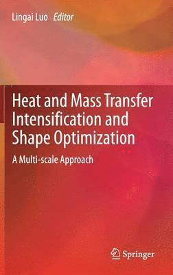 Lingai Luo - Heat and  Mass Transfer Intensification and Shape Optimization, Inbunden