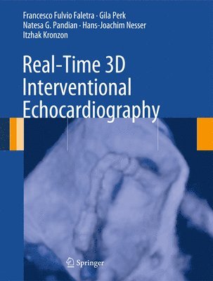 bokomslag Real-Time 3D Interventional Echocardiography