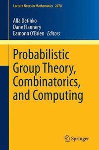 bokomslag Probabilistic Group Theory, Combinatorics, and Computing