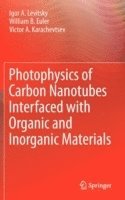 Igor A. Levitsky, William B. Euler, Victor A. Karachevtsev - Photophysics of Carbon Nanotubes Interfaced with Organic and Inorganic Materials, Inbunden