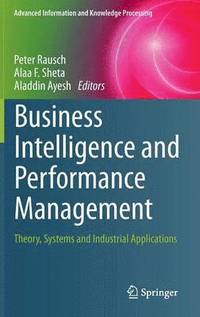 bokomslag Business Intelligence and Performance Management
