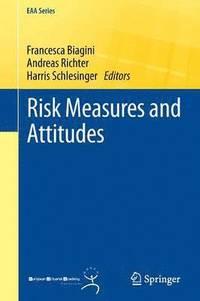 bokomslag Risk Measures and Attitudes