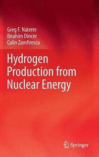 bokomslag Hydrogen Production from Nuclear Energy