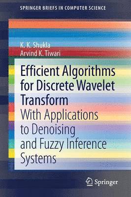 bokomslag Efficient Algorithms for Discrete Wavelet Transform