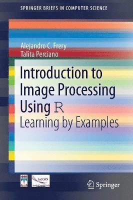 Alejandro C. Frery, Talita Perciano - Introduction to Image Processing Using R, Häftad