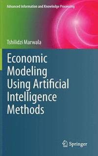 bokomslag Economic Modeling Using Artificial Intelligence Methods