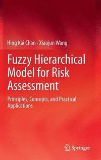 bokomslag Fuzzy Hierarchical Model for Risk Assessment