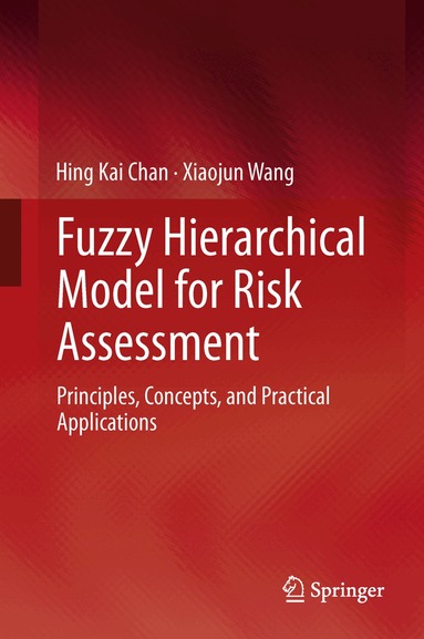 Hing Kai Chan, Xiaojun Wang - Fuzzy Hierarchical Model for Risk Assessment, Inbunden