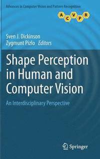 bokomslag Shape Perception in Human and Computer Vision