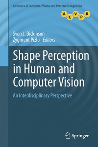 bokomslag Shape Perception in Human and Computer Vision