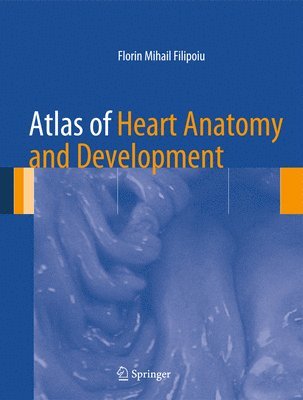 bokomslag Atlas of Heart Anatomy and Development