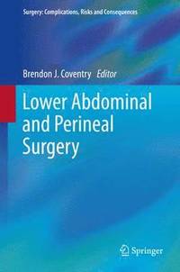 bokomslag Lower Abdominal and Perineal Surgery