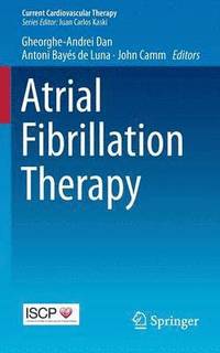 bokomslag Atrial Fibrillation Therapy