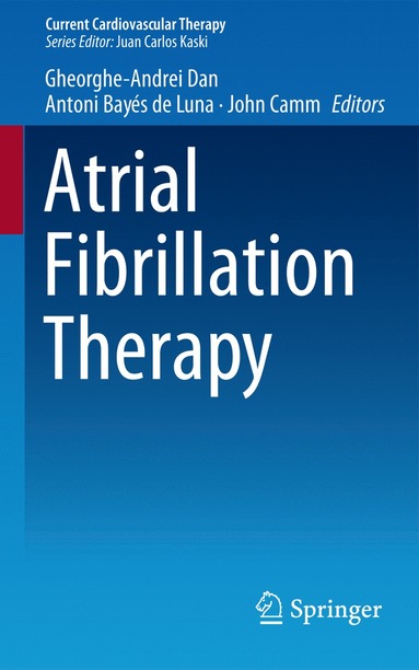 bokomslag Atrial Fibrillation Therapy