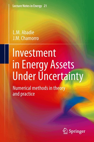 L.M. Abadie, J.M. Chamorro - Investment in Energy Assets Under Uncertainty, Inbunden