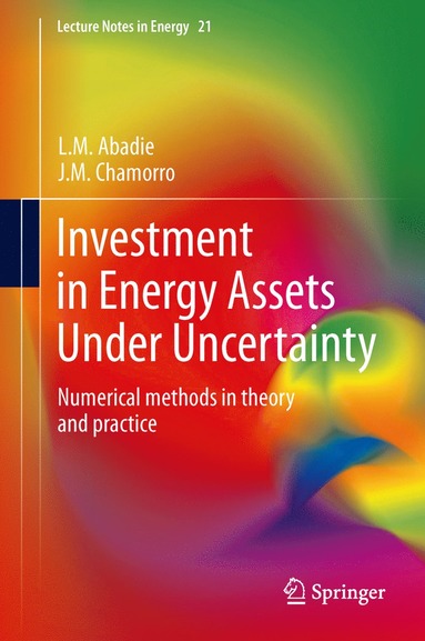 bokomslag Investment in Energy Assets Under Uncertainty