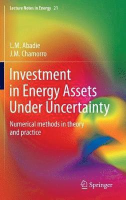 Investment in Energy Assets Under Uncertainty