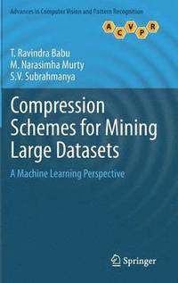 bokomslag Compression Schemes for Mining Large Datasets