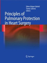 bokomslag Principles of Pulmonary Protection in Heart Surgery