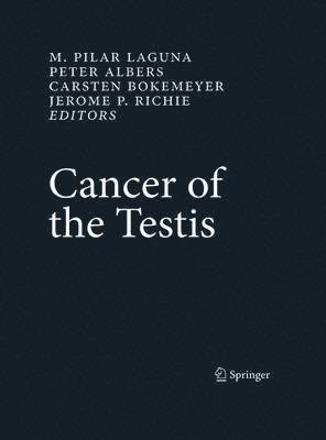 bokomslag Cancer of the Testis
