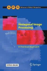 bokomslag Hexagonal Image Processing