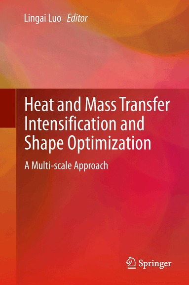 Lingai Luo - Heat and Mass Transfer Intensification and Shape Optimization, Häftad