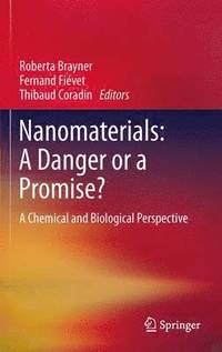 bokomslag Nanomaterials: A Danger or a Promise?