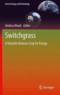 bokomslag Switchgrass