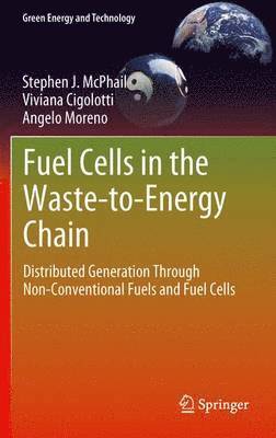 Fuel Cells in the Waste-to-Energy Chain 1