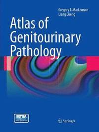 bokomslag Atlas of Genitourinary Pathology