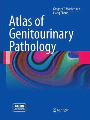 Atlas of Genitourinary Pathology 1